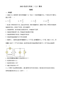 北京市大兴区2022-2023学年高二上学期期末物理试题(含答案)