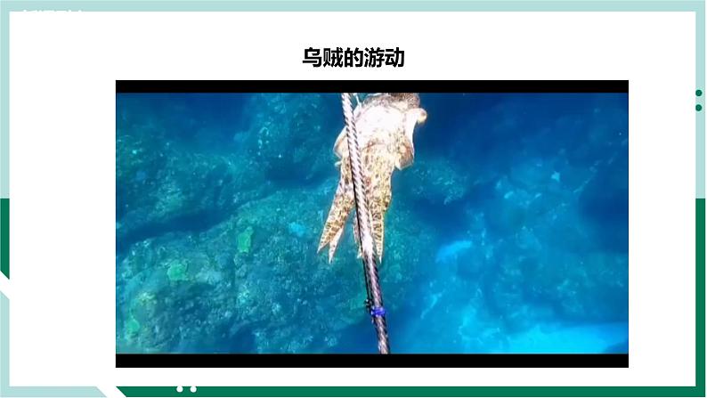 1.6反冲现象火箭（精品课件+分层作业）高二物理同步备课系列（人教版2019选择性必修第一册）02