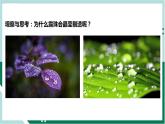 4.2全反射（精品課件+分層作業(yè)）高二物理同步備課系列（人教版2019選擇性必修第一冊(cè)）