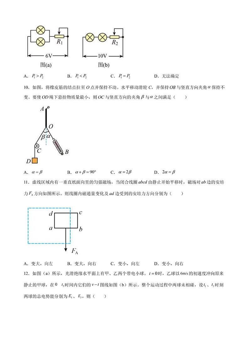 2023届上海市浦东新区高三上学期一模物理试题（PDF版）第3页