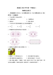 2023届上海市黄浦区高三上学期一模物理试题（word版）