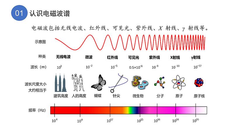 4.3电磁波谱精编高二物理同步备课系列（精编课件+同步练习）（鲁科版2019选择性必修第二册）04