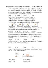 2022-2023学年吉林省长春市农安十中高一（上）期末物理试卷（含答案解析）