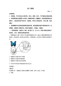 2023潍坊高三上学期1月期末考试物理试题含解析