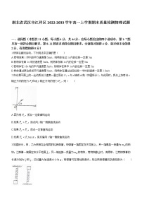 2022-2033学年湖北省武汉市江岸区高一上学期期末质量检测物理试题