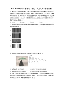 2022-2023学年山东省青岛二中高二（上）期末物理试卷（含答案解析）