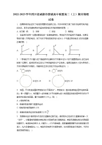 2022-2023学年四川省成都市蓉城高中联盟高二（上）期末物理试卷（含答案解析）