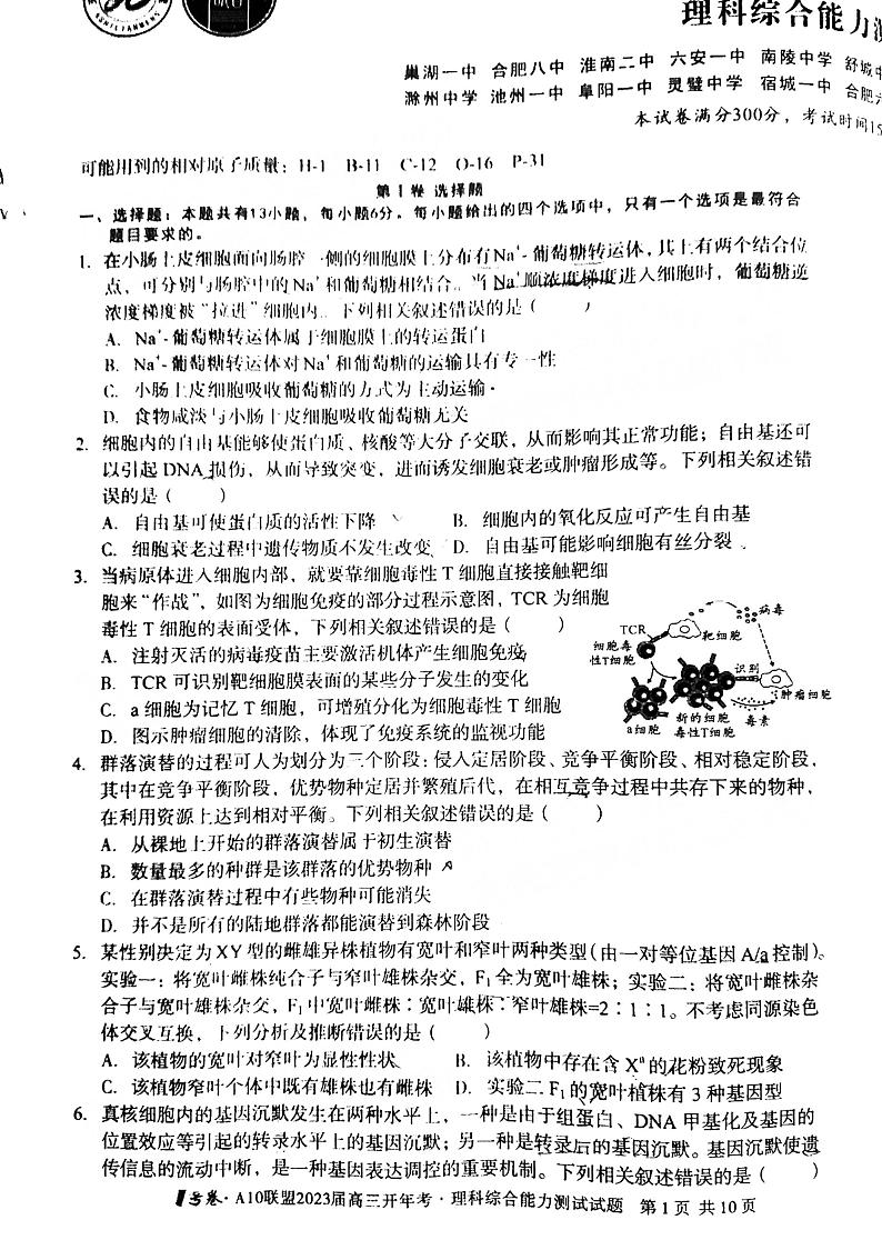 2023安徽A10联盟高三开年考理科综合试题及答案第1页