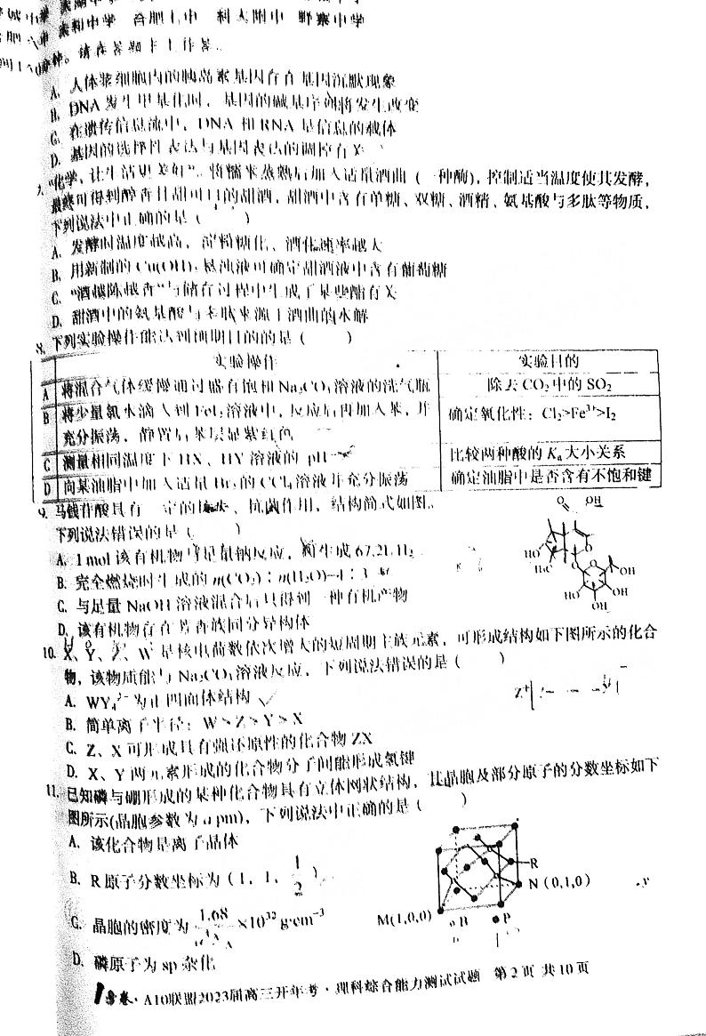 2023安徽A10联盟高三开年考理科综合试题及答案第2页