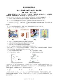 2023麓山国际实验学校高一上学期期末测试（线上）物理试卷