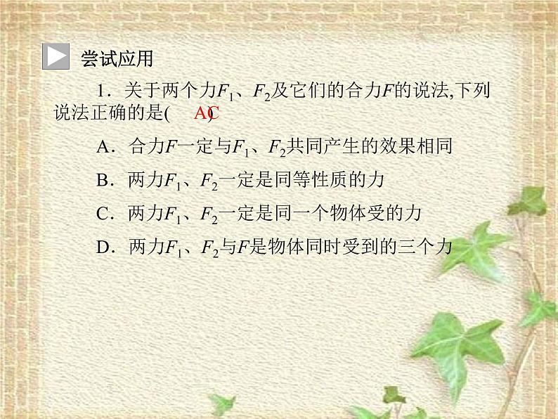 2022-2023年人教版(2019)新教材高中物理必修1 第3章相互作用-力第4节力的合成和分解(3)课件06