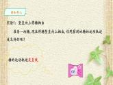 2022-2023年人教版(2019)新教材高中物理必修2 第5章抛体运动第1节曲线运动(1)课件