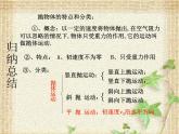 2022-2023年人教版(2019)新教材高中物理必修2 第5章抛体运动第4节抛体运动的规律(5)课件