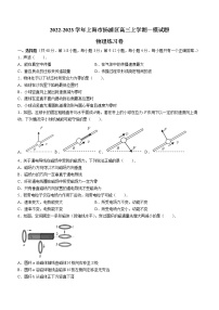 2022-2023学年上海市杨浦区高三上学期一模试题 物理（word版）