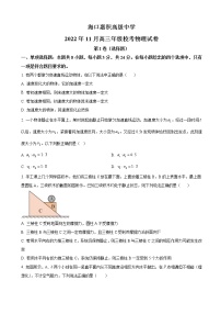 2023届海南省嘉积高级中学高三上学期11月期中物理试卷