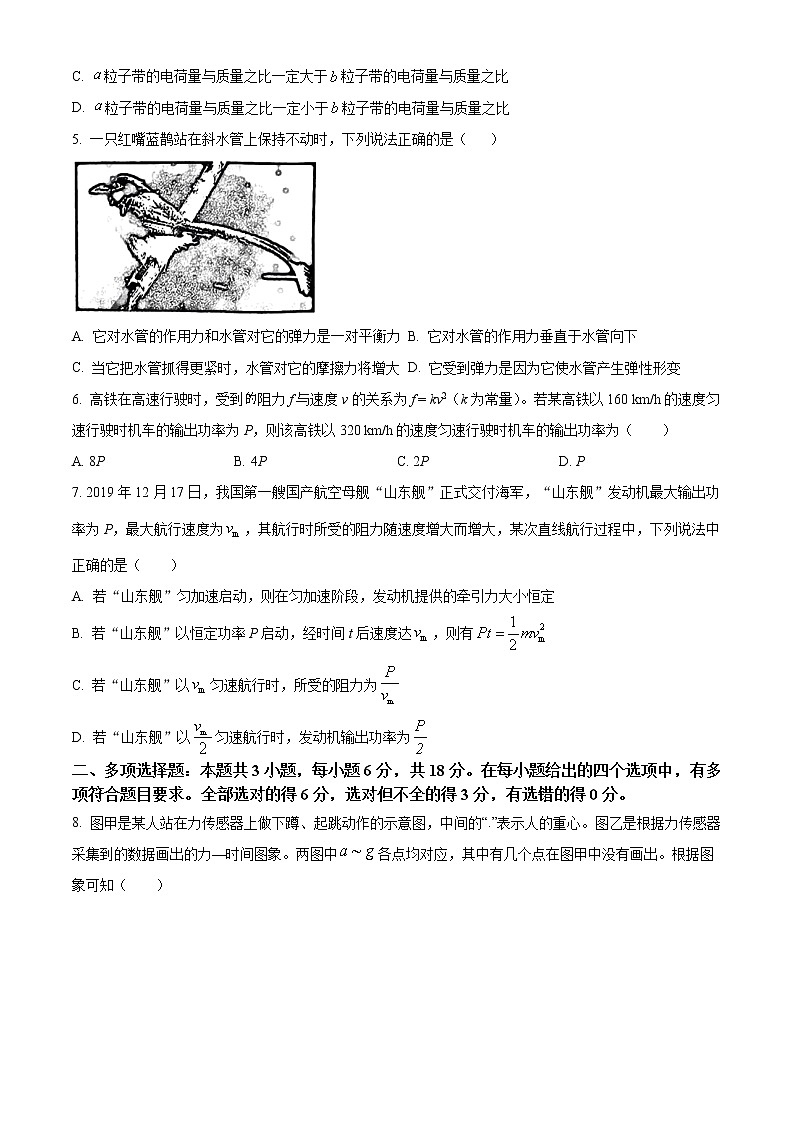 2023揭阳高三上学期期末（一模）物理试题含答案03