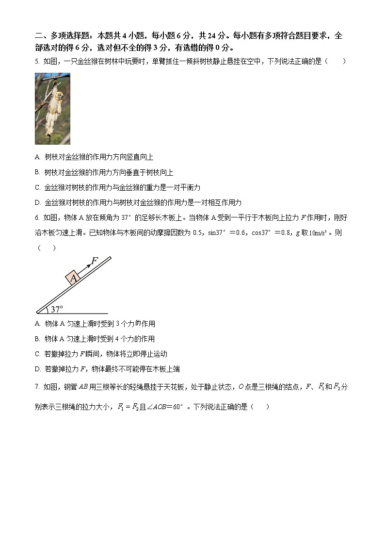 2023漳州高一上学期期末物理含答案 试卷02