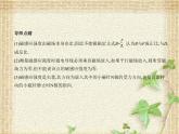 2022-2023年人教版(2019)新教材高中物理必修3 第13章电磁感应与电磁波初步第2节磁感应强度磁通量(2)课件