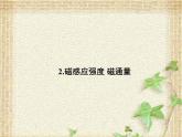 2022-2023年人教版(2019)新教材高中物理必修3 第13章电磁感应与电磁波初步第2节磁感应强度磁通量(6)课件