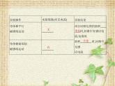2022-2023年人教版(2019)新教材高中物理必修3 第13章电磁感应与电磁波初步第3节电磁感应现象及应用(3)课件