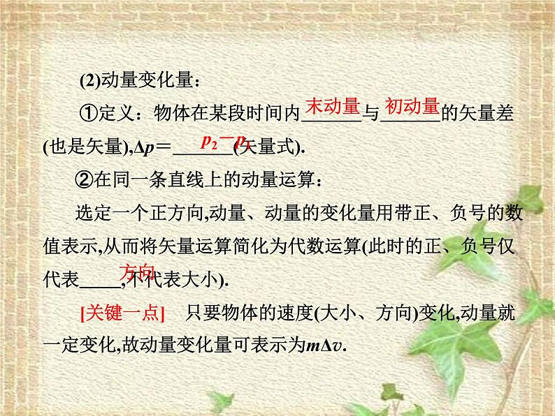 2022-2023年人教版(2019)新教材高中物理选择性必修1 第1章动量守恒定律第2节动量定理(1)课件03