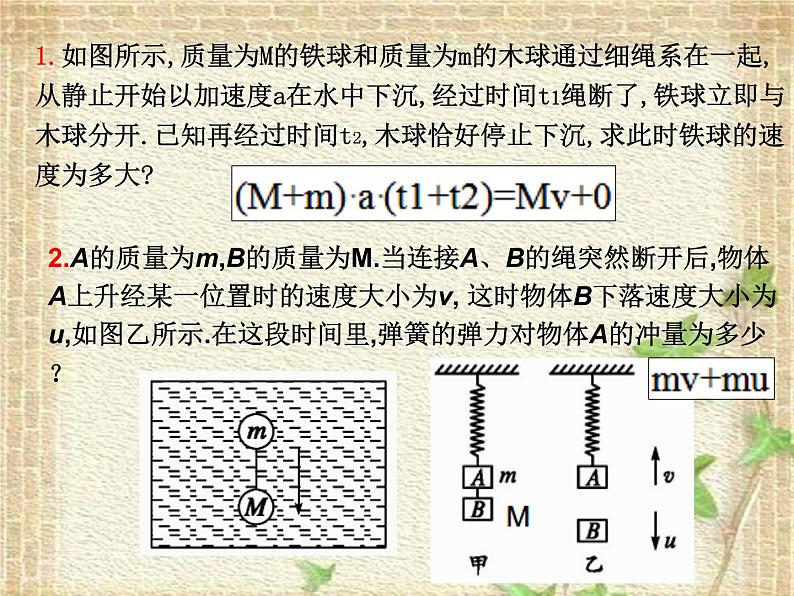 2022-2023年人教版(2019)新教材高中物理选择性必修1 第1章动量守恒定律第2节动量定理课件04