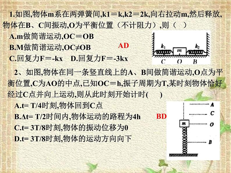 2022-2023年人教版(2019)新教材高中物理选择性必修1 第2章机械振动第2节简谐运动的描述课件07