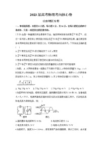 山东省2022-2023学年高三物理下学期高考考向核心卷（新高考）（Word版附解析）