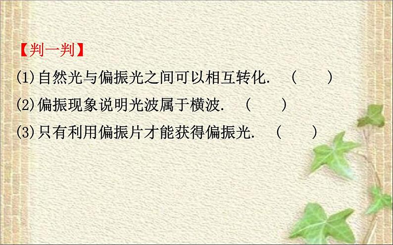 2022-2023年人教版(2019)新教材高中物理选择性必修1 第4章光第5节光的衍射课件第8页