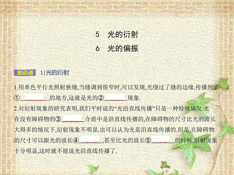 2022-2023年人教版(2019)新教材高中物理选择性必修1 第4章光第6节光的偏振激光(3)课件01