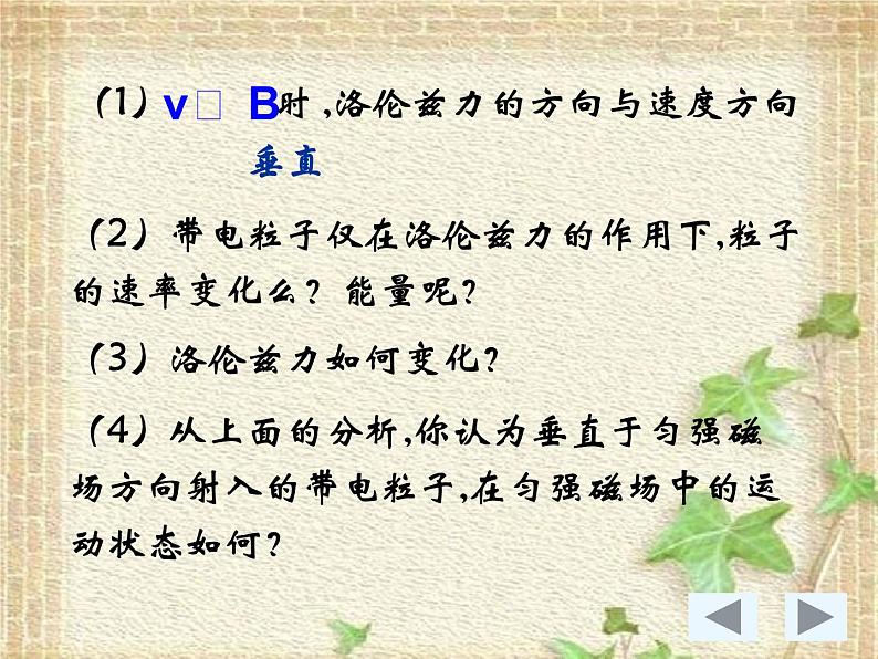 2022-2023年人教版(2019)新教材高中物理选择性必修2 第1章安培力与洛伦兹力第3节带电粒子在匀强磁场中的运动(1)课件第4页