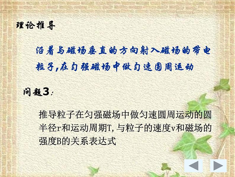 2022-2023年人教版(2019)新教材高中物理选择性必修2 第1章安培力与洛伦兹力第3节带电粒子在匀强磁场中的运动(1)课件第5页