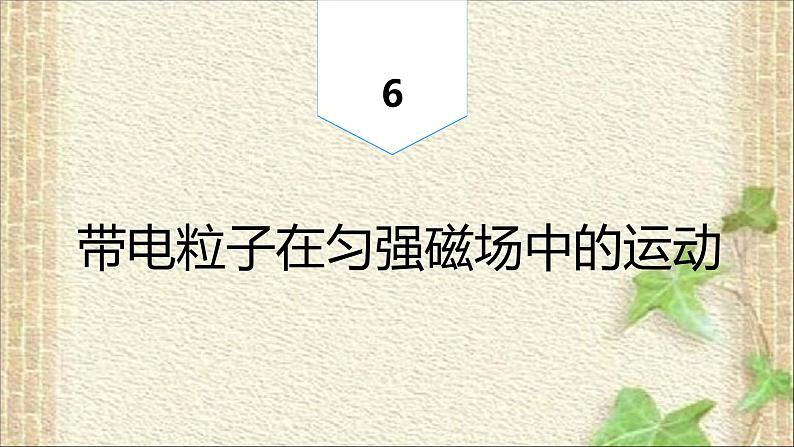 2022-2023年人教版(2019)新教材高中物理选择性必修2 第1章安培力与洛伦兹力第3节带电粒子在匀强磁场中的运动(3)课件01