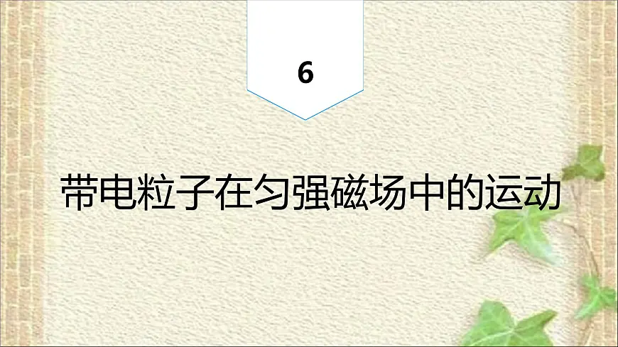 2022-2023年人教版(2019)新教材高中物理选择性必修2 第1章安培力与洛伦兹力第3节带电粒子在匀强磁场中的运动(3)课件第1页