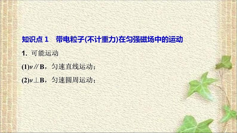 2022-2023年人教版(2019)新教材高中物理选择性必修2 第1章安培力与洛伦兹力第3节带电粒子在匀强磁场中的运动(3)课件02