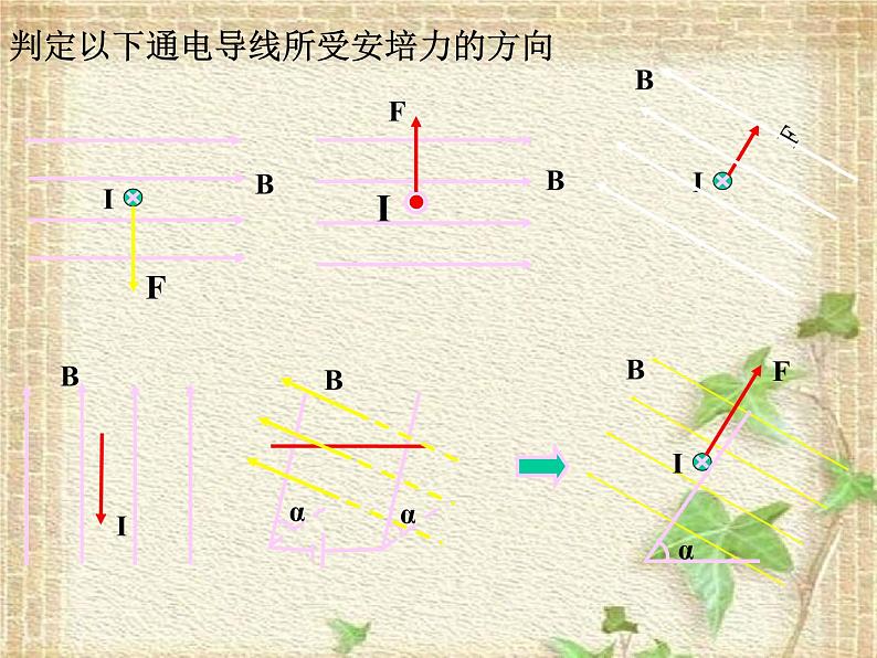 2022-2023年人教版(2019)新教材高中物理选择性必修2 第1章安培力与洛伦兹力第1节磁场对通电导线的作用力(1)课件04