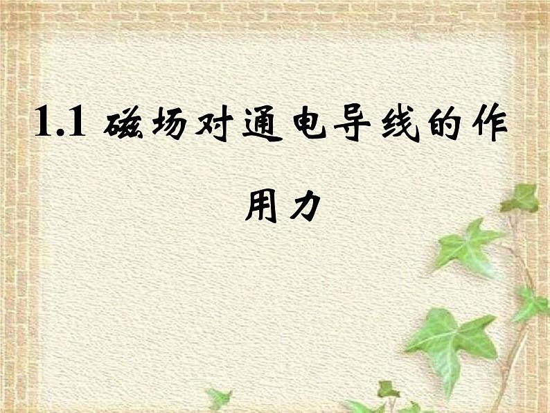 2022-2023年人教版(2019)新教材高中物理选择性必修2 第1章安培力与洛伦兹力第1节磁场对通电导线的作用力(2)课件第1页