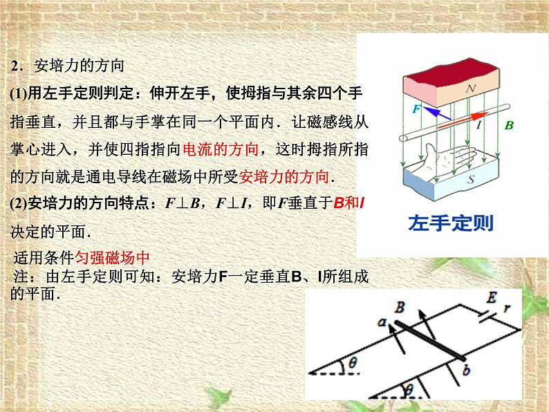 2022-2023年人教版(2019)新教材高中物理选择性必修2 第1章安培力与洛伦兹力第1节磁场对通电导线的作用力(2)课件第3页