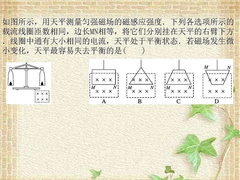 2022-2023年人教版(2019)新教材高中物理选择性必修2 第1章安培力与洛伦兹力第1节磁场对通电导线的作用力(2)课件第5页