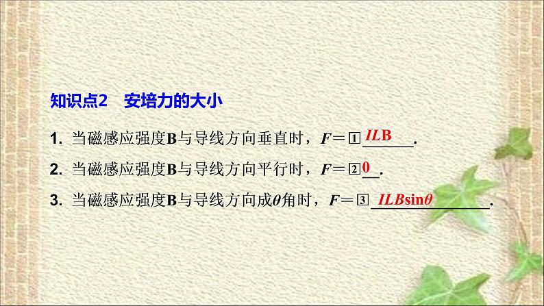 2022-2023年人教版(2019)新教材高中物理选择性必修2 第1章安培力与洛伦兹力第1节磁场对通电导线的作用力(4)课件05