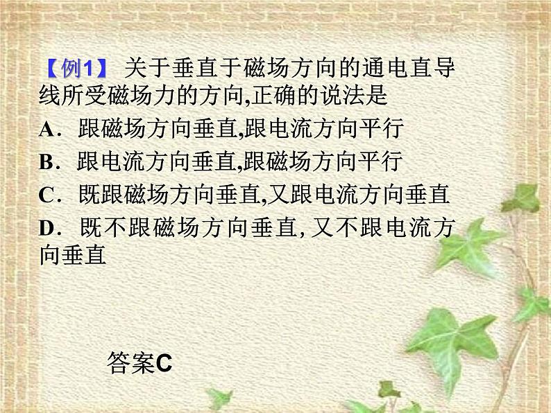 2022-2023年人教版(2019)新教材高中物理选择性必修2 第1章安培力与洛伦兹力第1节磁场对通电导线的作用力(5)课件06