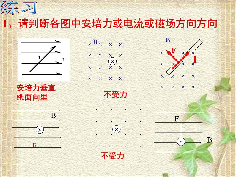 2022-2023年人教版(2019)新教材高中物理选择性必修2 第1章安培力与洛伦兹力第1节磁场对通电导线的作用力(6)课件第5页