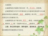 2022-2023年人教版(2019)新教材高中物理选择性必修2 第1章安培力与洛伦兹力第1节磁场对通电导线的作用力(8)课件