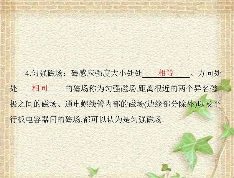 2022-2023年人教版(2019)新教材高中物理选择性必修2 第1章安培力与洛伦兹力第1节磁场对通电导线的作用力(8)课件第5页