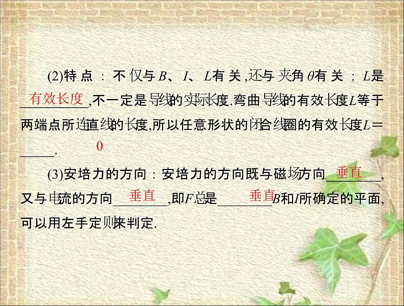 2022-2023年人教版(2019)新教材高中物理选择性必修2 第1章安培力与洛伦兹力第1节磁场对通电导线的作用力(8)课件第7页