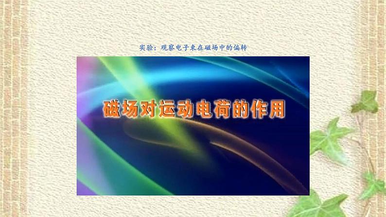 2022-2023年人教版(2019)新教材高中物理选择性必修2 第1章安培力与洛伦兹力第2节磁场对运动电荷的作用力(2)课件第3页