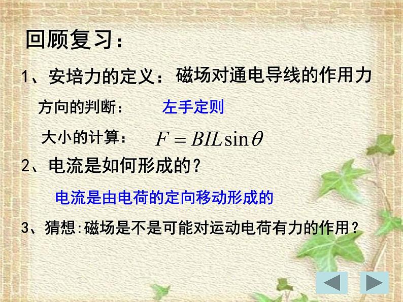 2022-2023年人教版(2019)新教材高中物理选择性必修2 第1章安培力与洛伦兹力第2节磁场对运动电荷的作用力(1)课件第2页