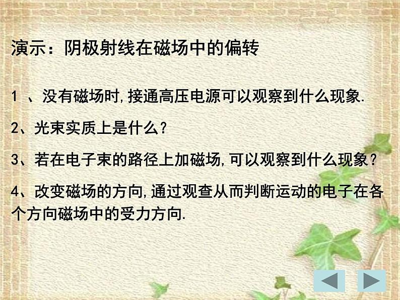 2022-2023年人教版(2019)新教材高中物理选择性必修2 第1章安培力与洛伦兹力第2节磁场对运动电荷的作用力(1)课件第3页