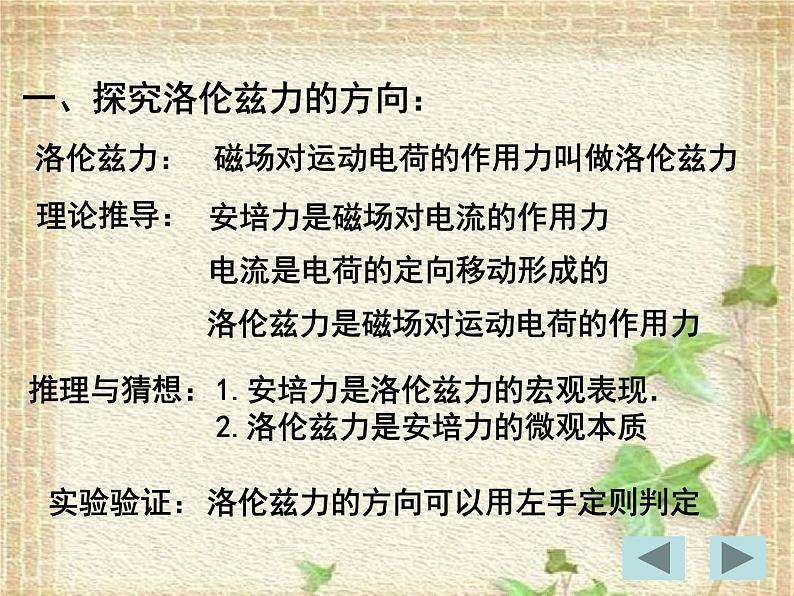 2022-2023年人教版(2019)新教材高中物理选择性必修2 第1章安培力与洛伦兹力第2节磁场对运动电荷的作用力(1)课件第4页