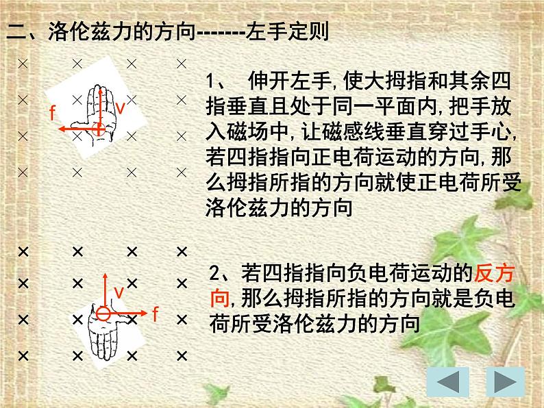 2022-2023年人教版(2019)新教材高中物理选择性必修2 第1章安培力与洛伦兹力第2节磁场对运动电荷的作用力(1)课件第5页